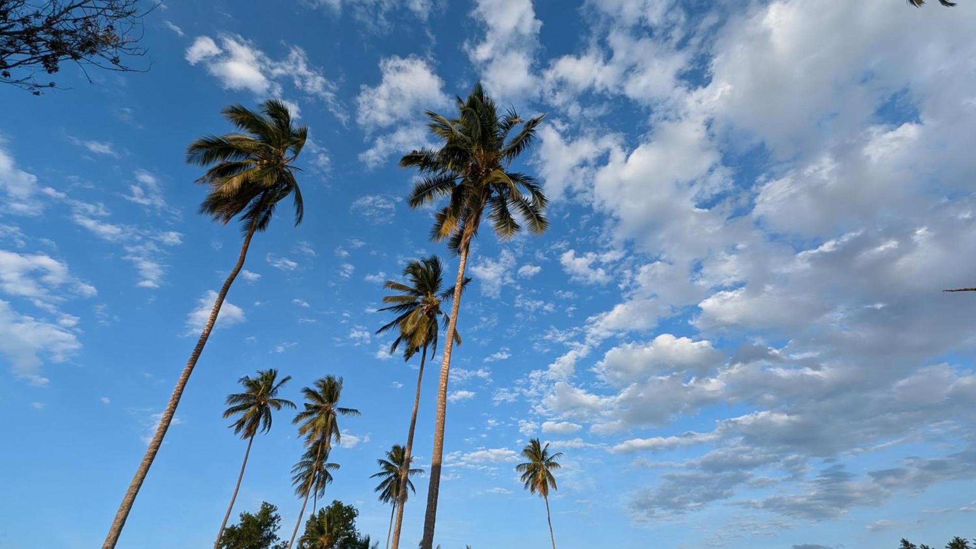 Villa Adelina Zanzibar Bagian luar foto
